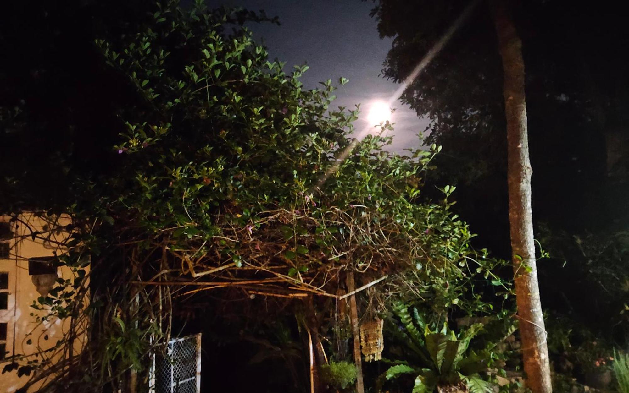 Balmy Hideout Cafe & Homestay Ban Huai Kaeo Exterior photo